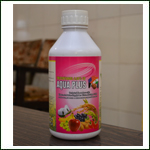 Methyl Parathion Insecticides,Rash Dar Soil Insecticide