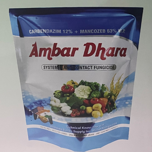 Ambar Dhara